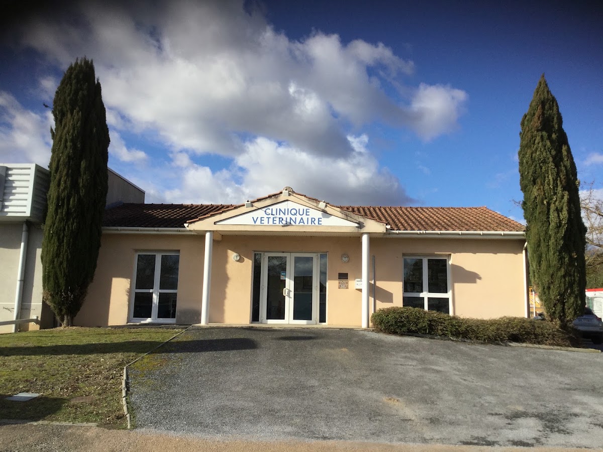 Clinique vétérinaire Velvet Castres