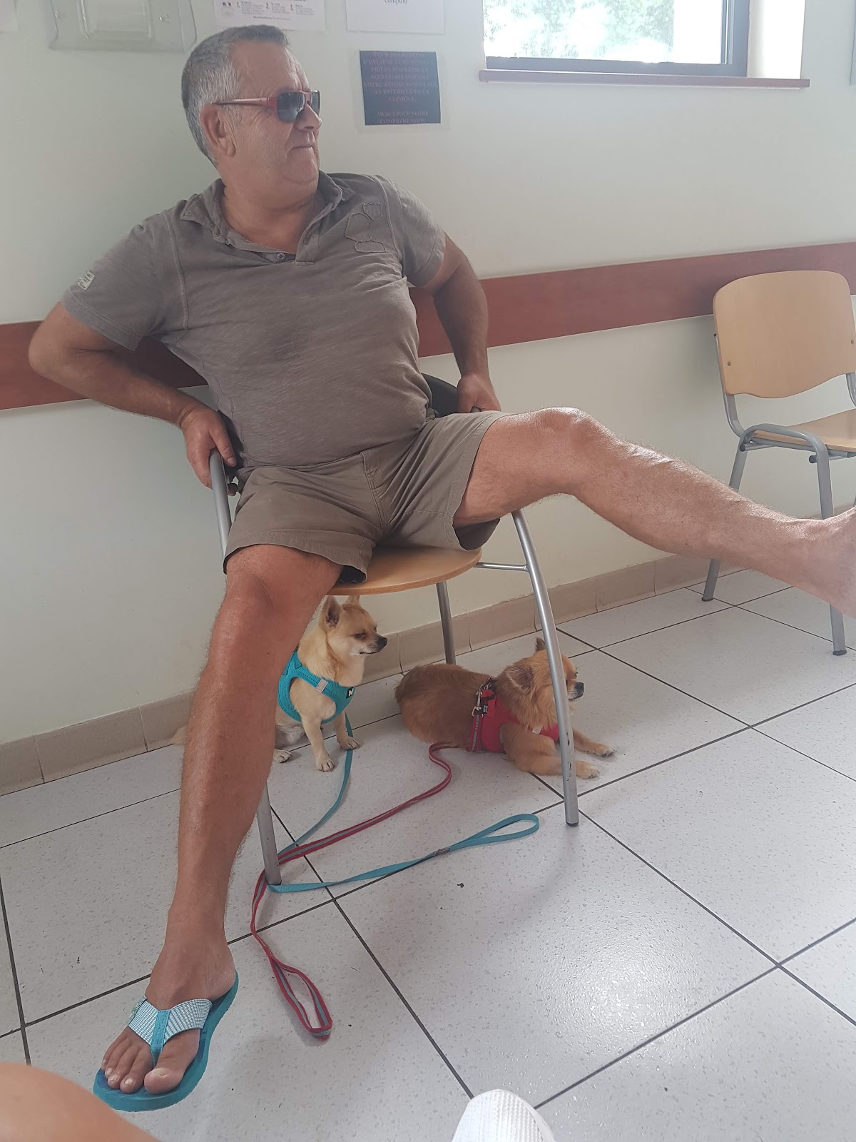 Clinique Vétérinaire des Docteurs Gipoulou Panis Assemat Gau Seltensperger Valles