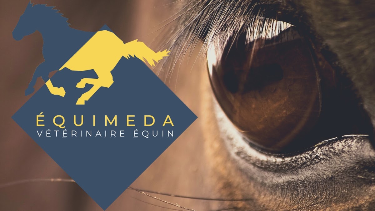 Equimeda - Alexandra Debacker - Vétérinaire équin - Rennes