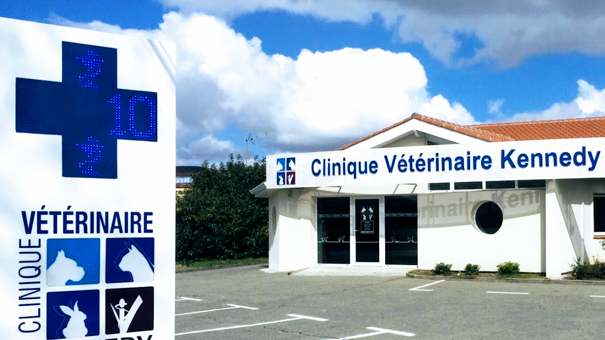 Dr BRUNIE Rémy