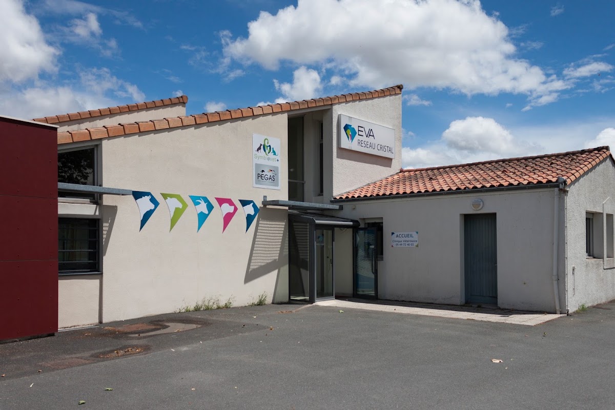 Clinique Vétérinaire MEVETO CHICHE