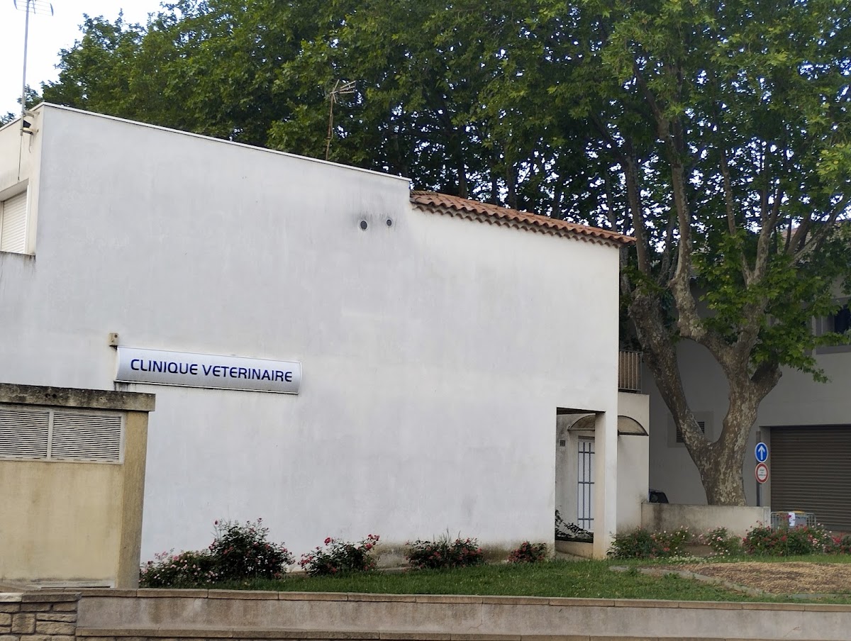 Clinique Vétérinaire - dr MERCIER
