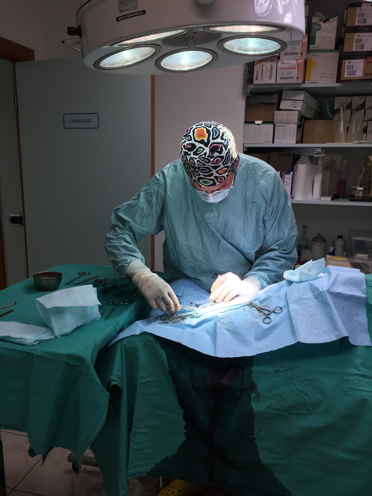Clinique Vétérinaire Saint Hubert