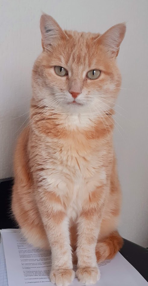 Picot Françoise