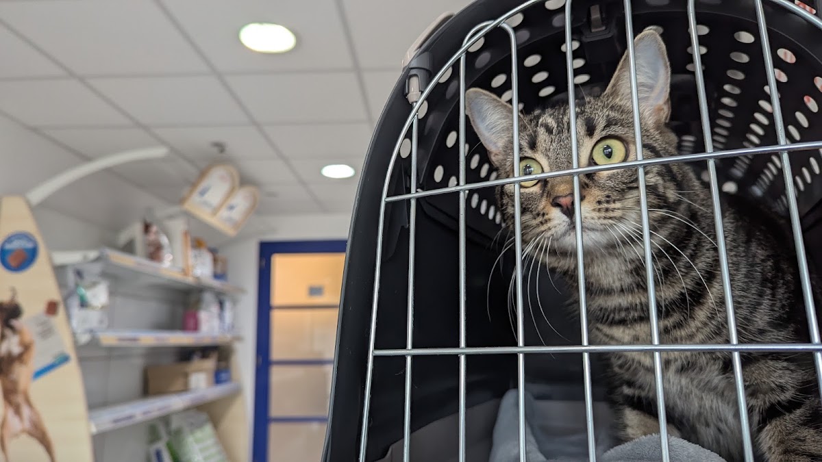 SCP Veterinaires Dr Brique Meurisse