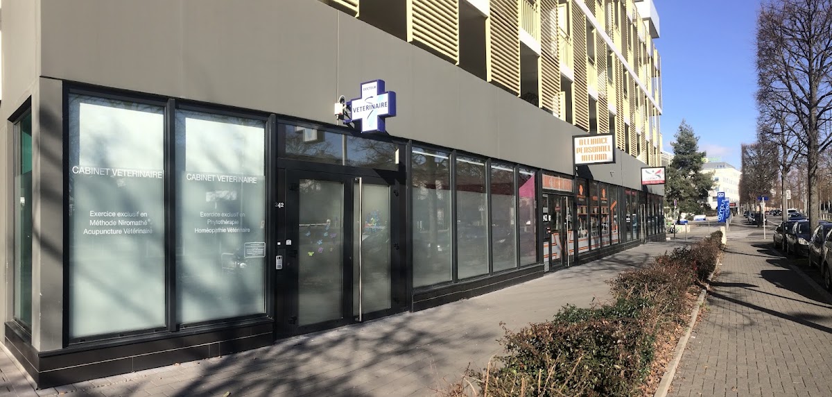 Cabinet Vétérinaire Hervé-Bazin Cecile