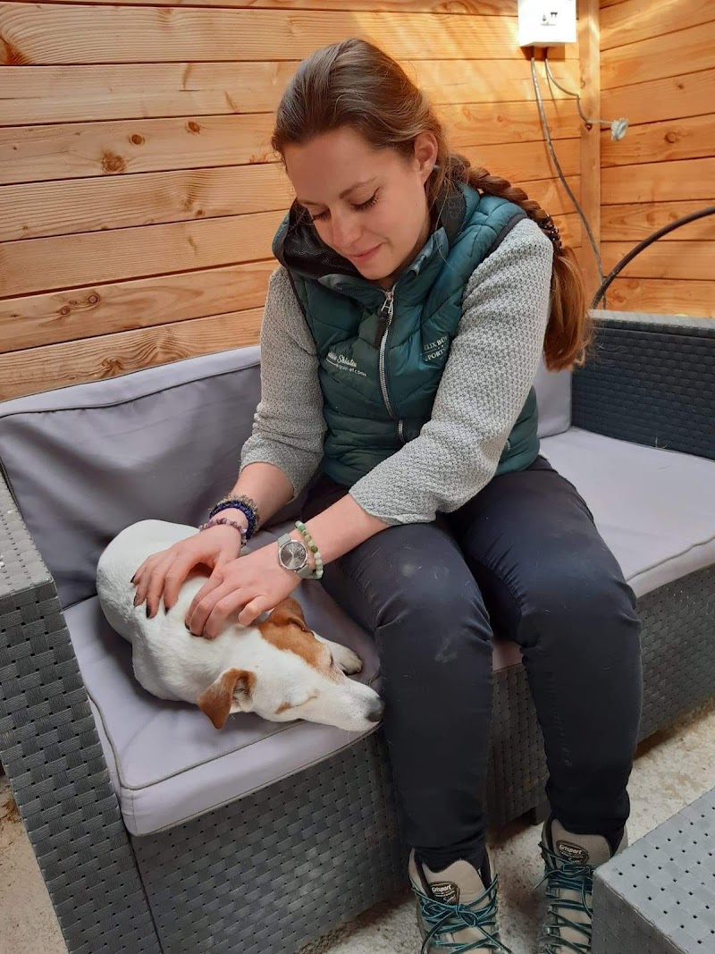 Audésie Shiatsu équin et canin — masseur à Amiens