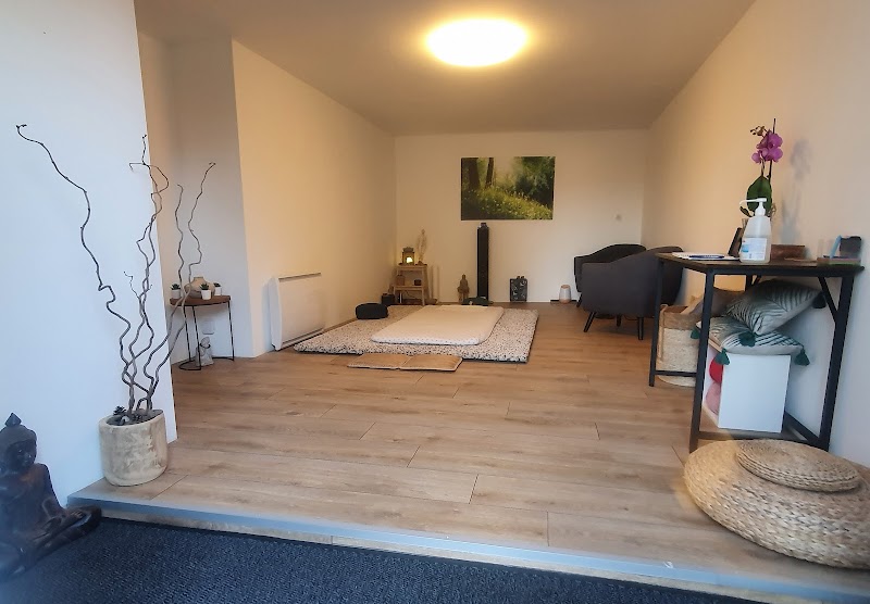 Vita-shiatsu / Spécialiste en Shiatsu (titre RNCP) — masseur à Troyes