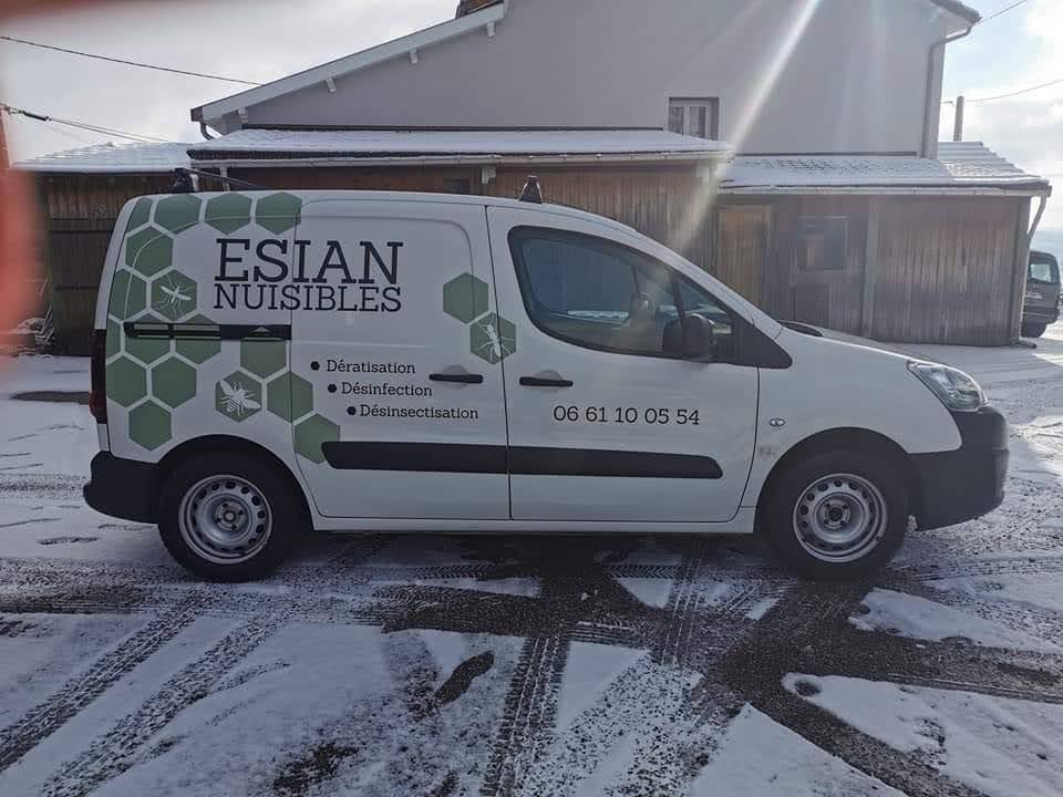 Esian nuisibles : Dératisation et désinsectisation à Lyon et Rhône