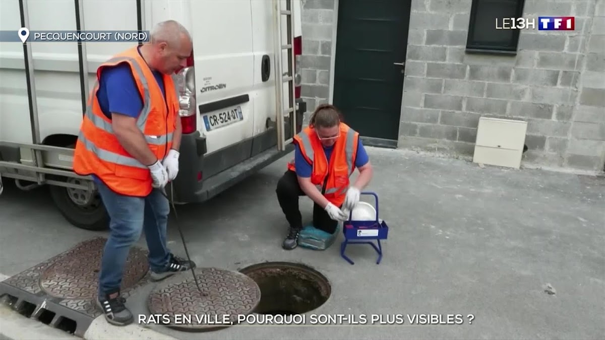 Poulain Environnement Services