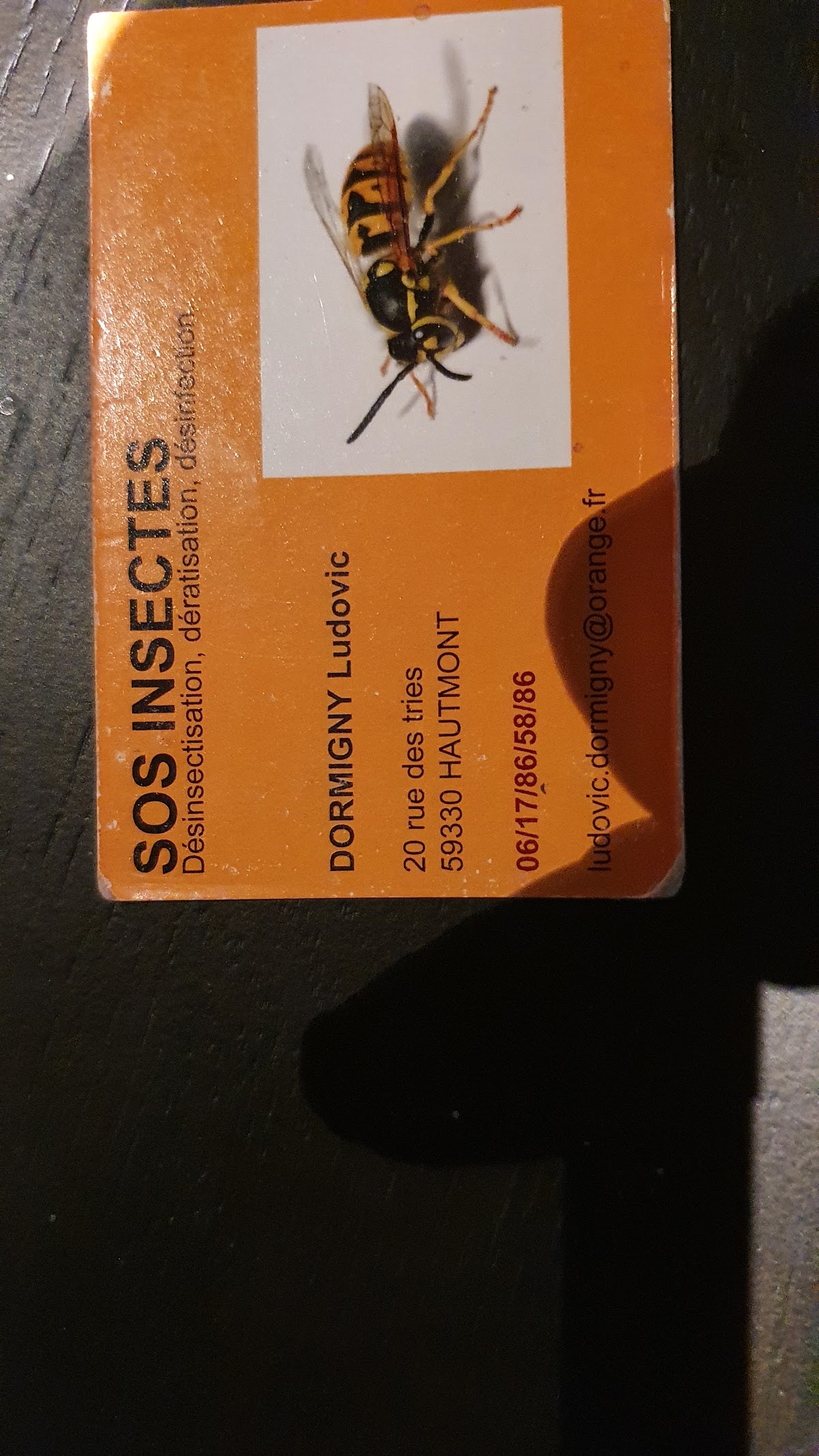 SOS Insectes