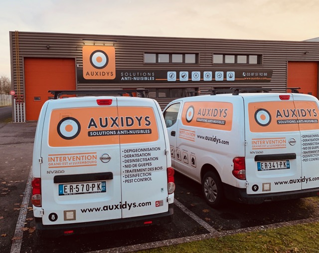 Auxidys, Expert dans la lutte contre les Nuisibles à Nancy