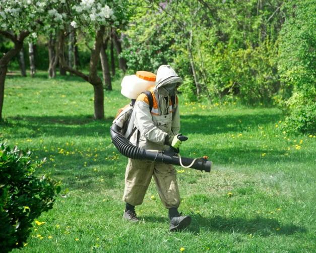 PRO PEST 🦟 | Extermination nuisibles - Dératisation - Désinsectisation | La Colle sur loup - Alpes Maritimes
