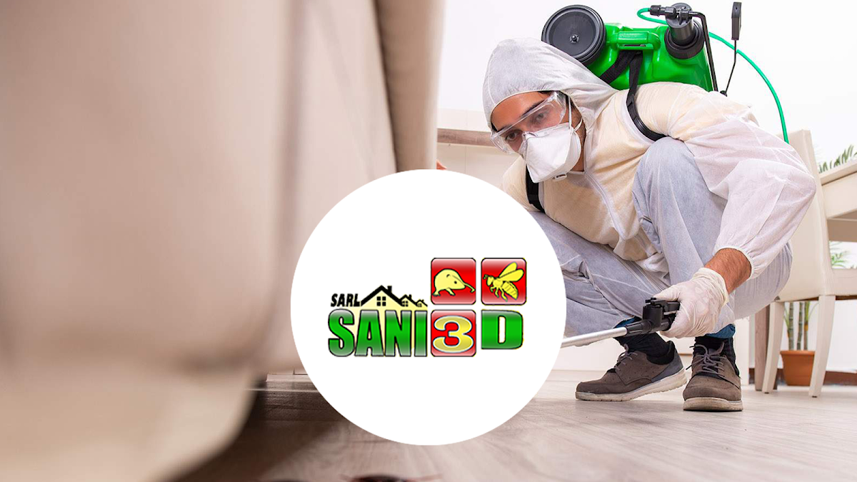 Sani 3D