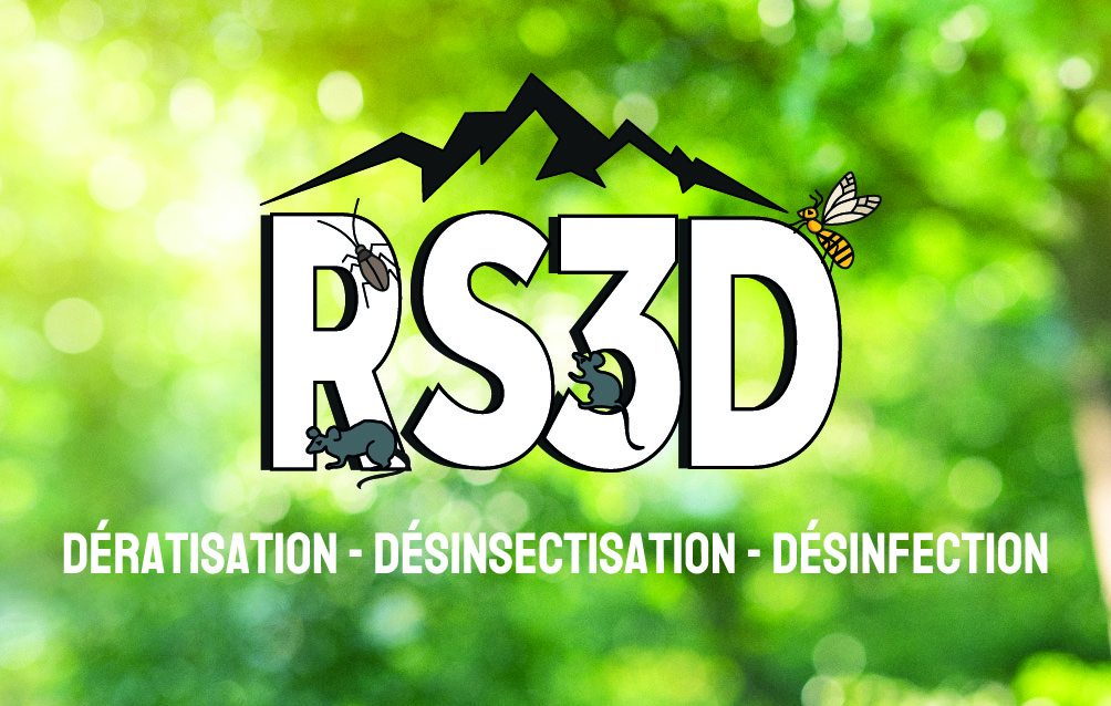 RS3D