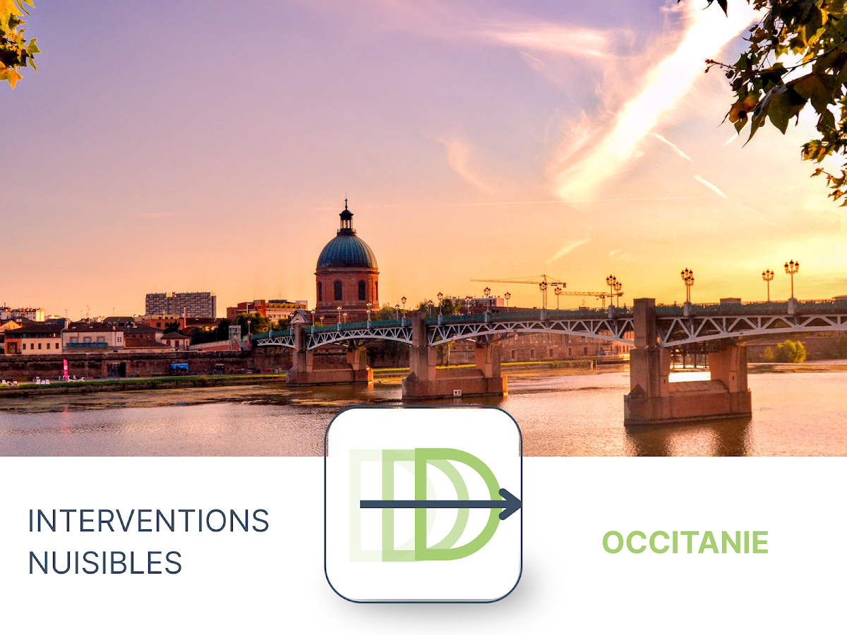 Interventions Nuisibles — désinsectisation et dératisation à Toulouse