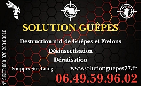 Solution Guêpes & Nuisibles