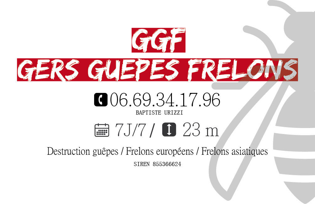 Gers Guêpes Frelons