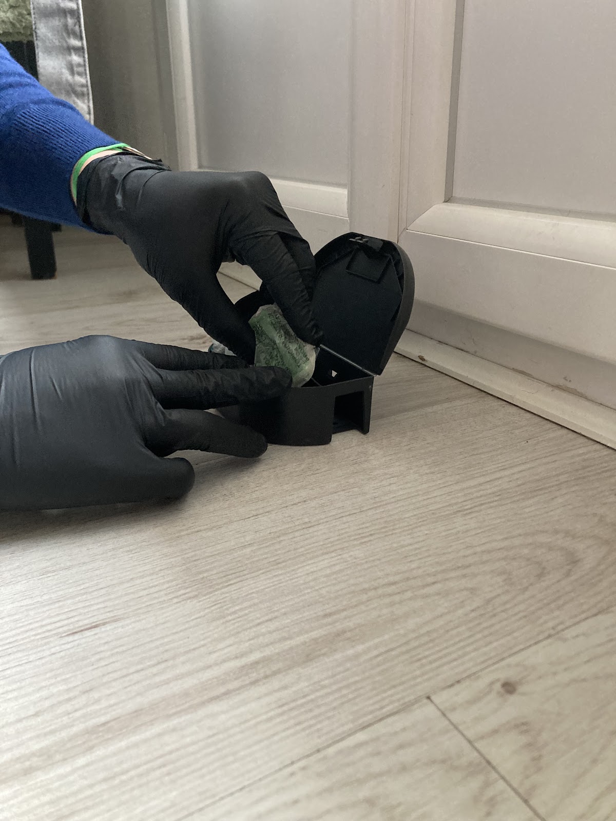 BeProtect – Dératisation & Désinsectisation Lyon