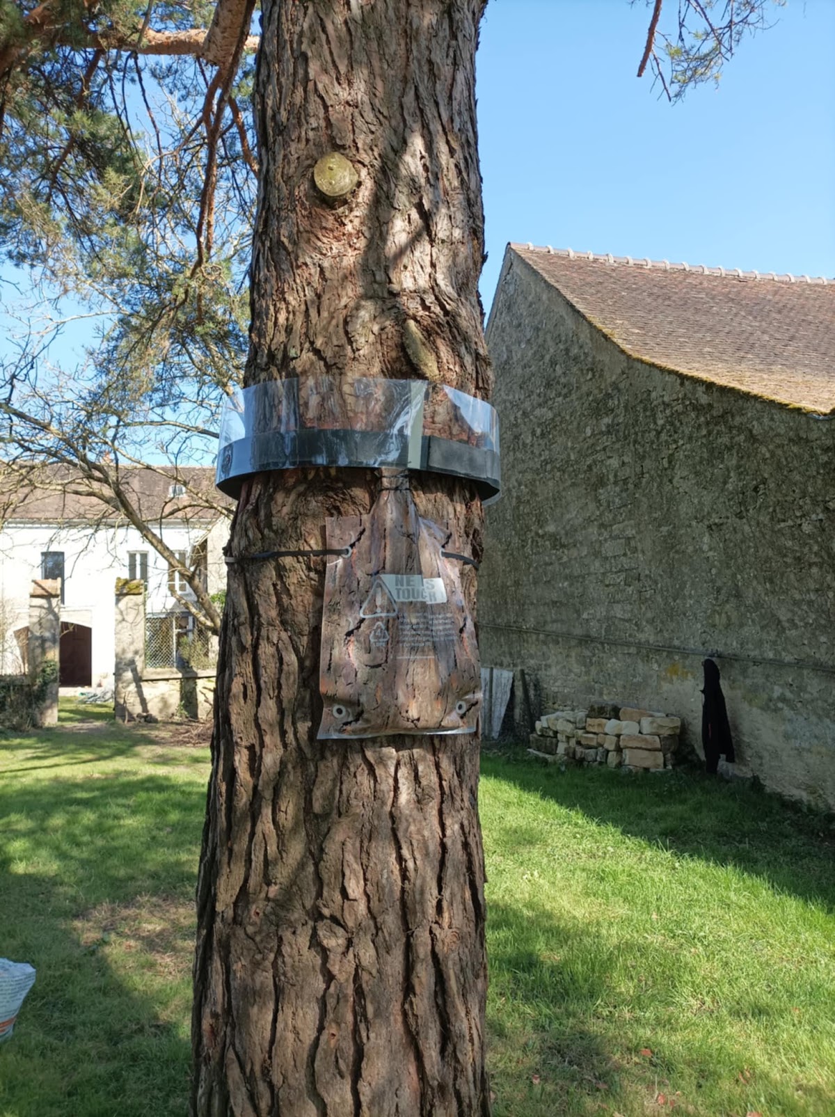 Vams Nuisibles et Services