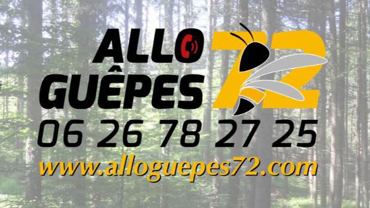 Alloguêpes72