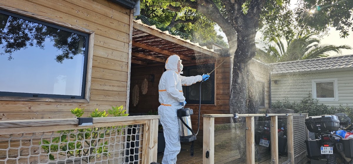 certinuisible pro 3D DÉRATISATION DÉSINFECTION DÉSINSECTISATION