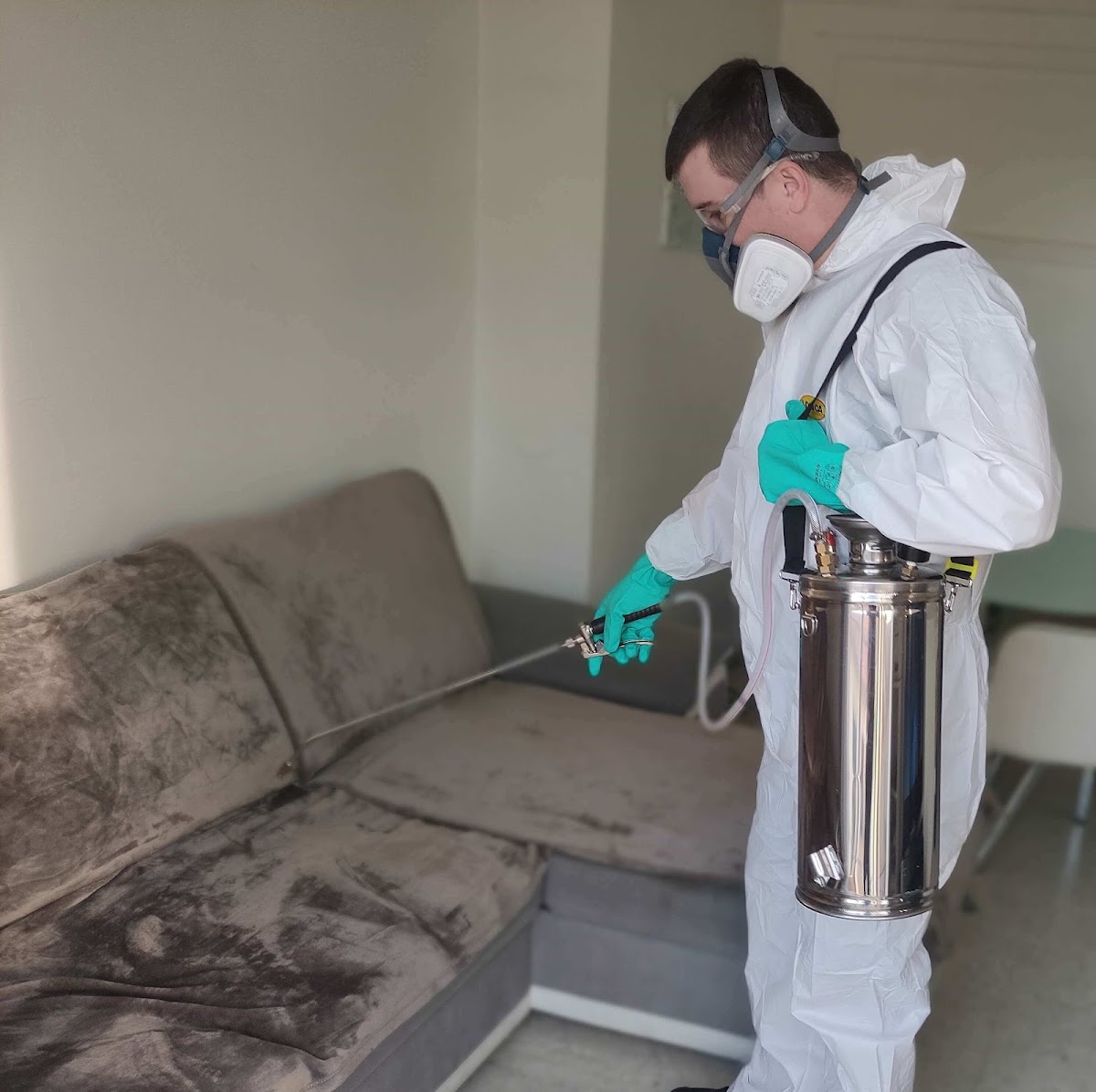 Anti nuisibles, dératisation et désinsectisation