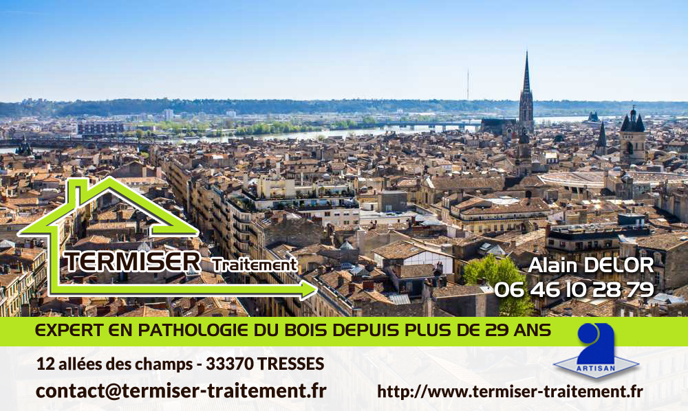 TERMISER Traitement