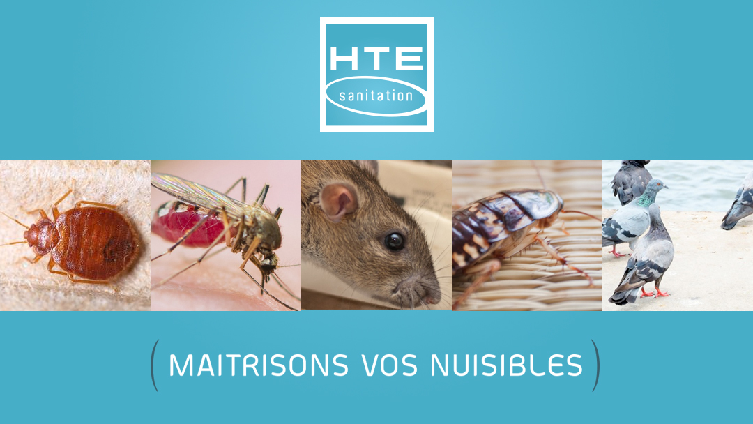 HTE SANITATION Vitrolles