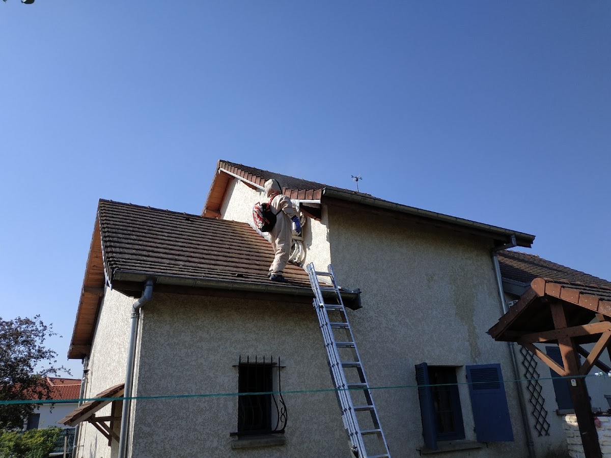 Nocivi 63: Dératisation-Désinsectisation/Destruction guêpes-frelons/Traitement punaises de lit Puy de dôme