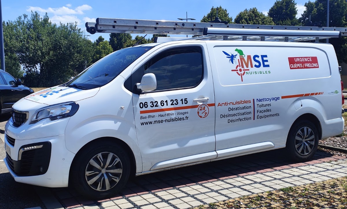 MSE Nuisibles : Dératisation - Guêpes - Frelons - Punaises de lit - Cafards - Désinsectisation - Désinfection