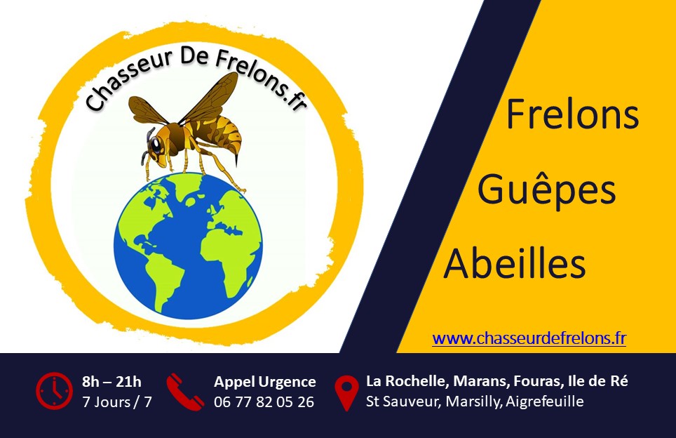 Chasseur de Frelons