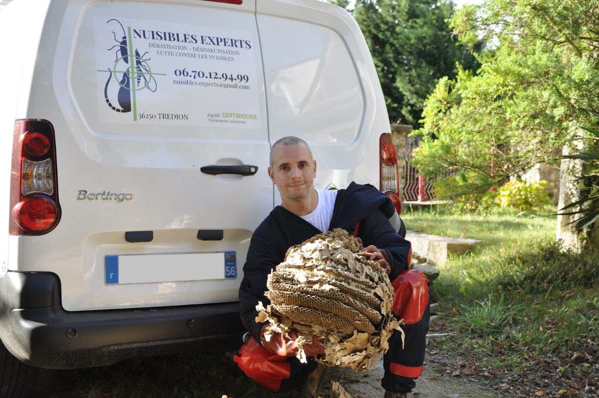 Nuisibles Experts