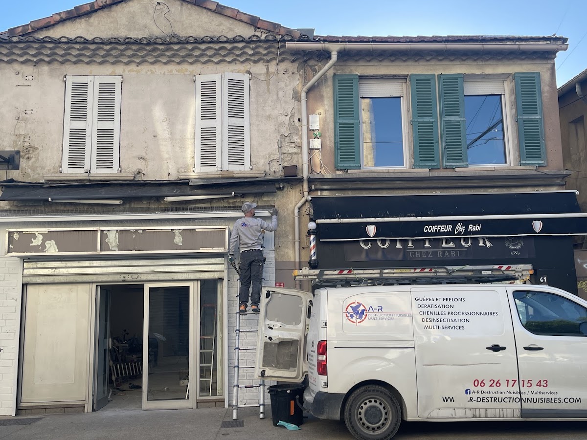 A-R Destructions Nuisibles / Multiservices – Désinsectisation, Dératisation, Travaux d’intérieur et d’extérieur