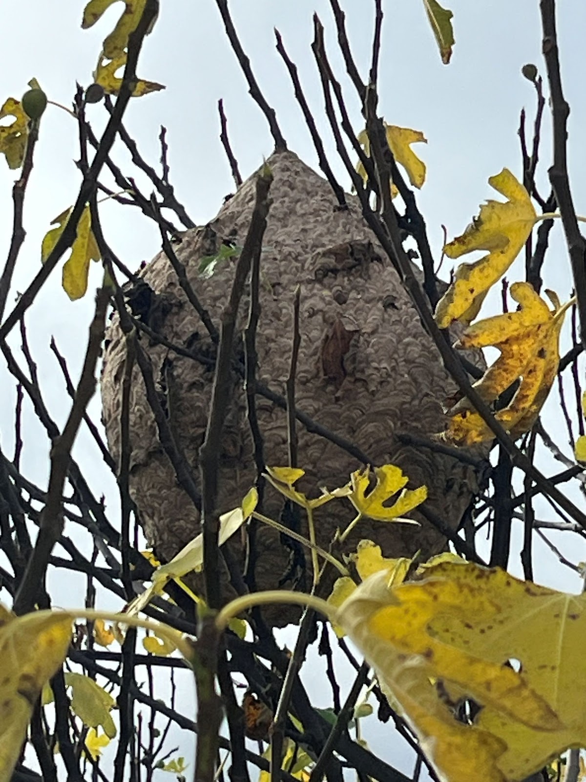 Mours Drôme Services