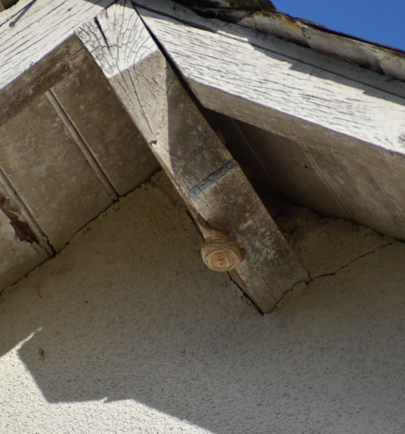 Pro nuisibles Corrèze