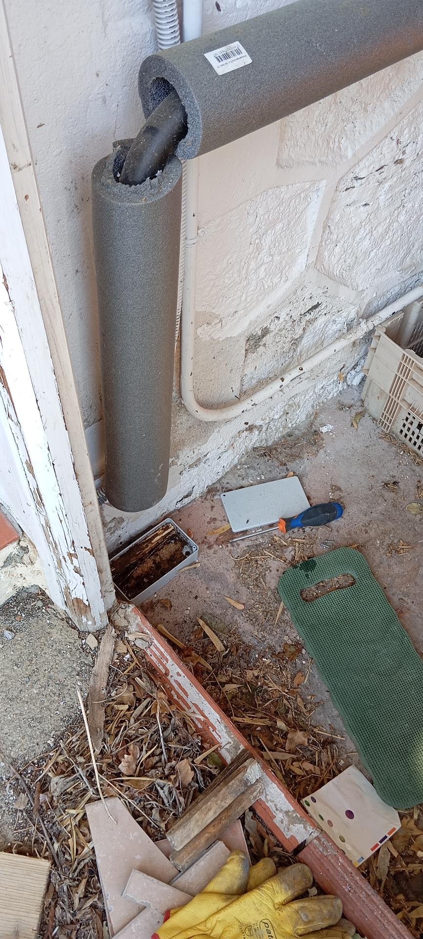 Protection Termite