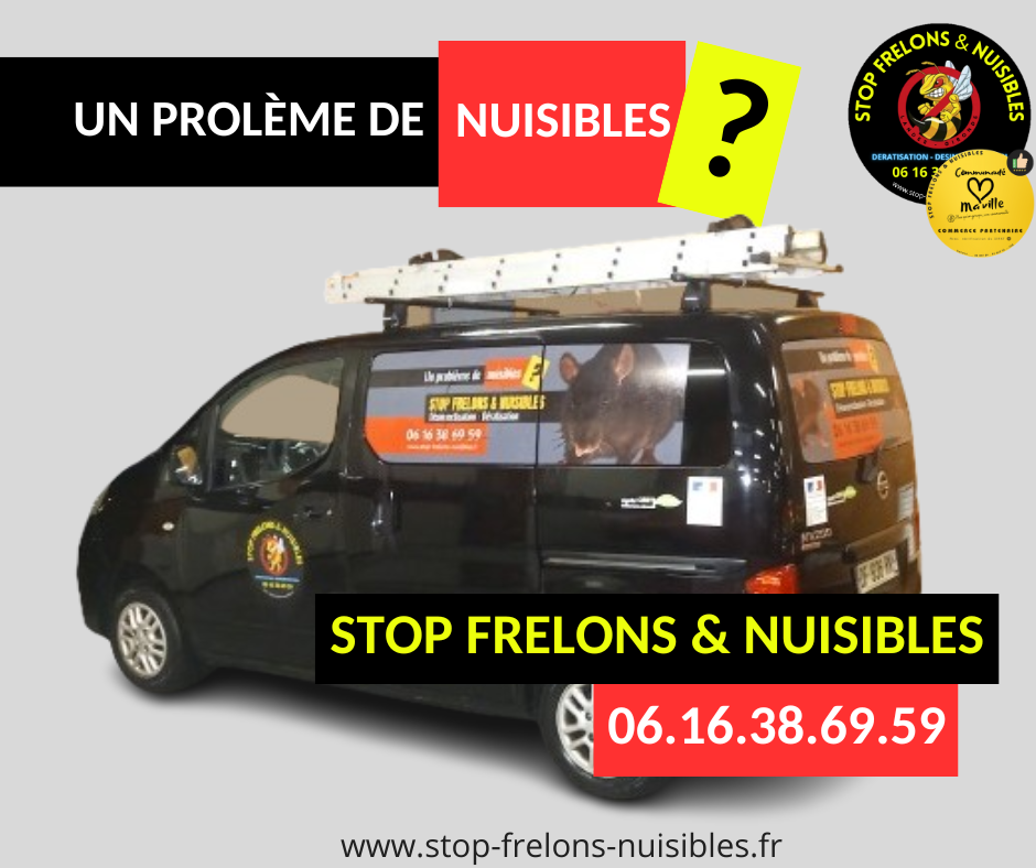 Stop Frelons & Nuisibles