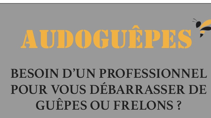 AUDOGUÊPES