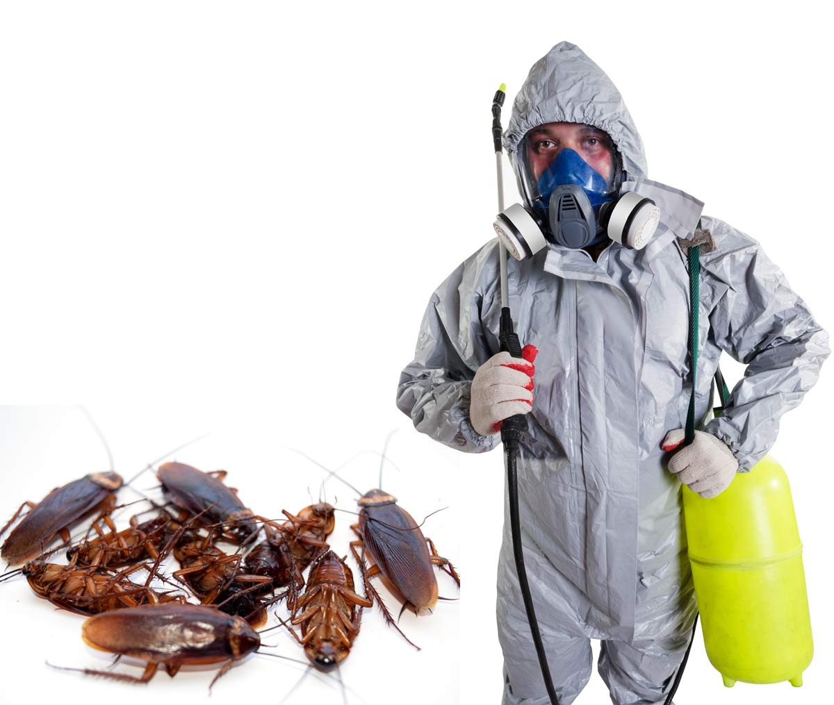Vente de Produits Anti-Nuisible