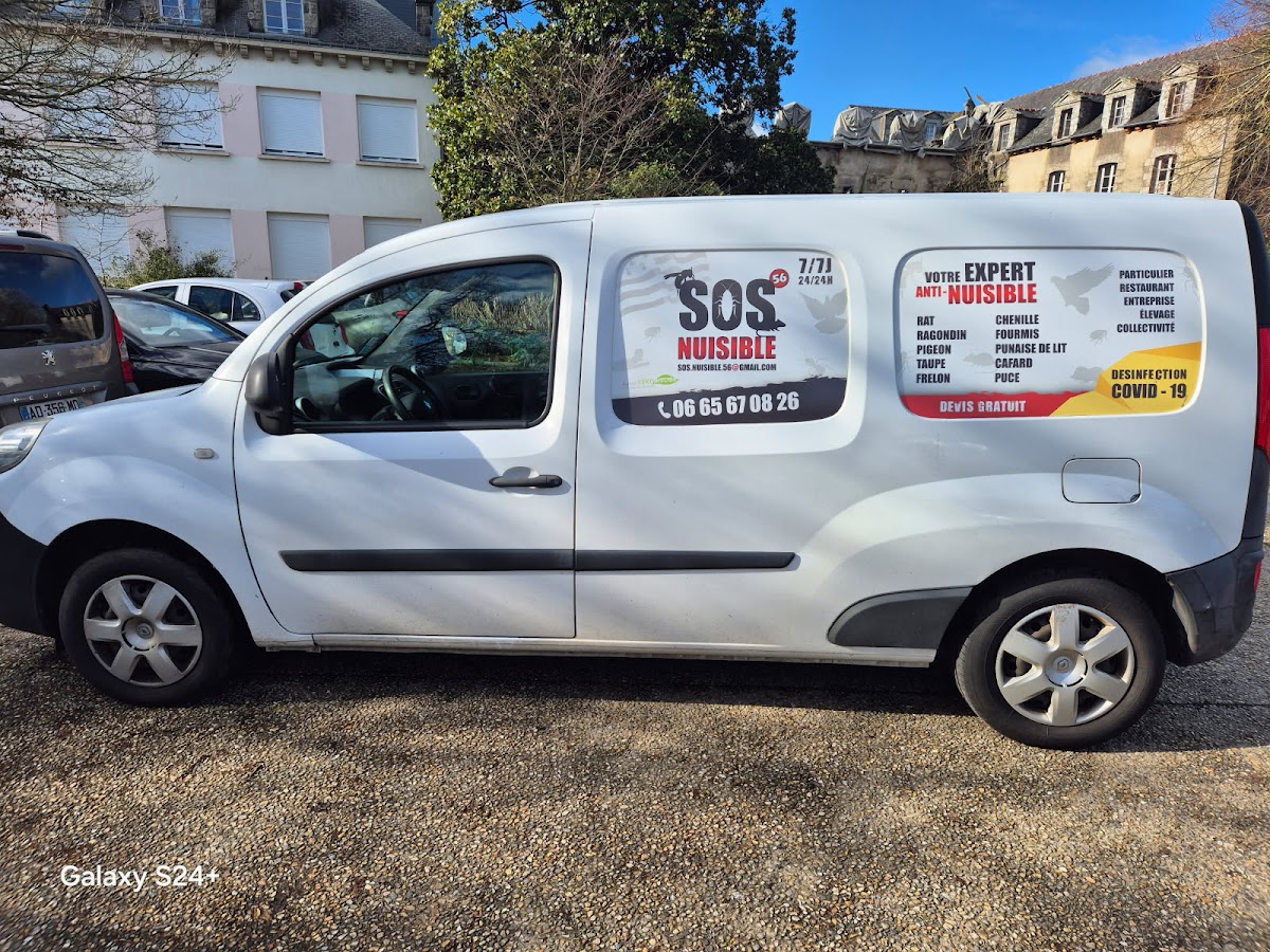 SOS NUISIBLE 56
