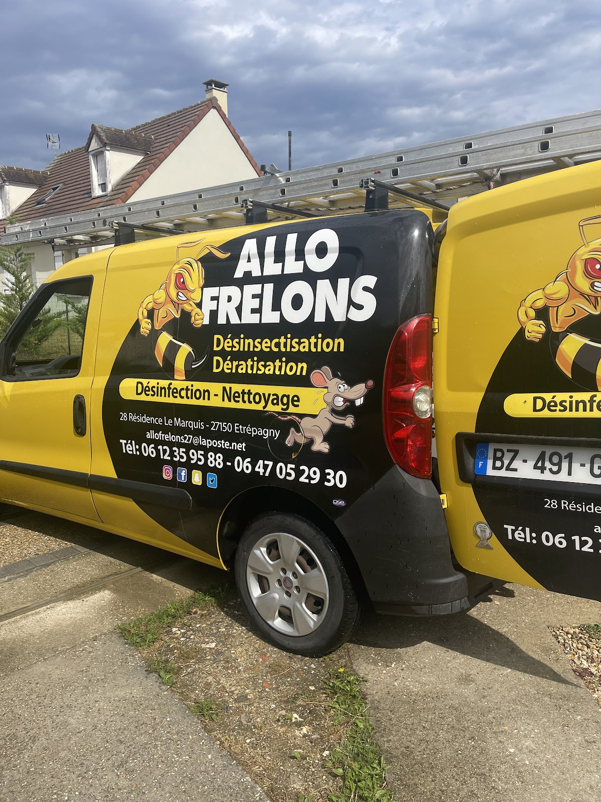 ALLO FRELONS HYGIENE ANTI- NUISIBLES