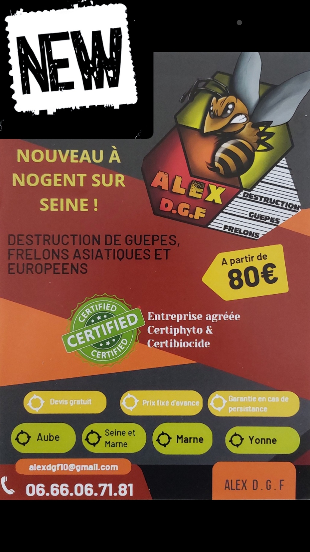 Destruction nids de Guêpes Frelons - Alex DGF