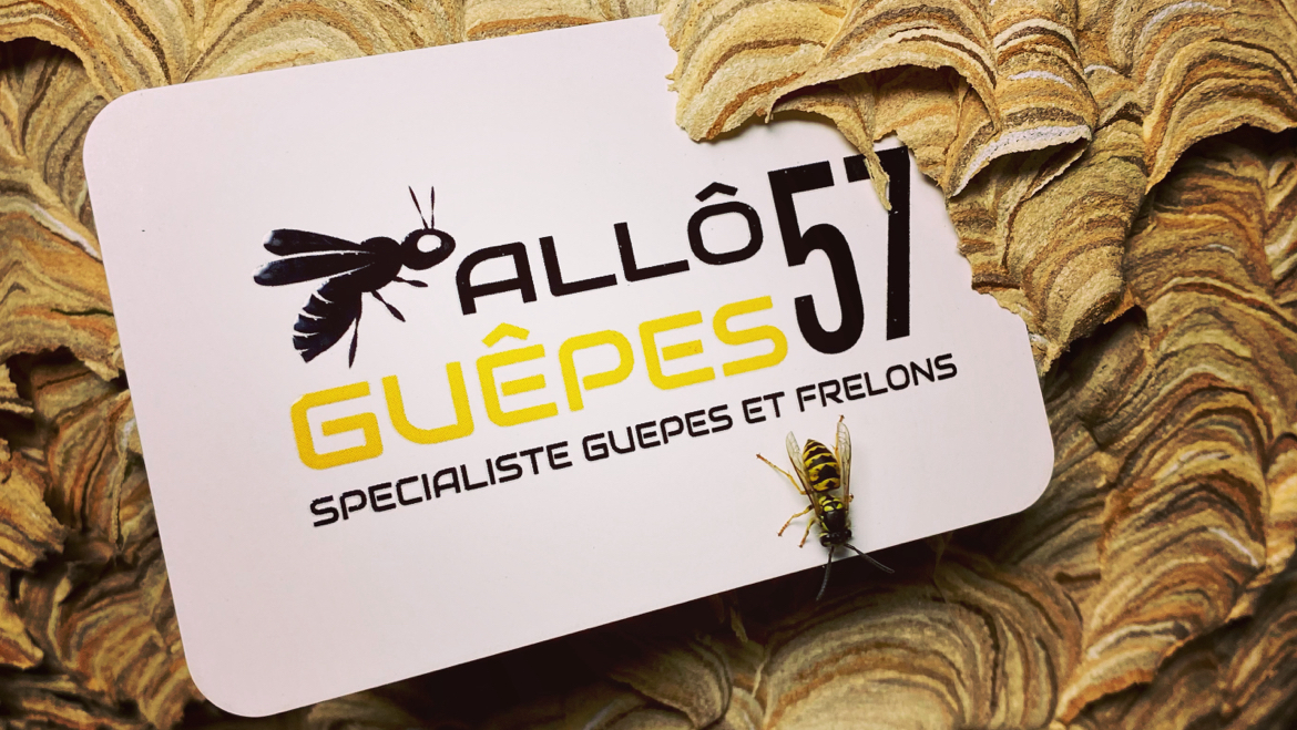 Allô Guêpes 57 - Destruction nid de guêpes et frelons