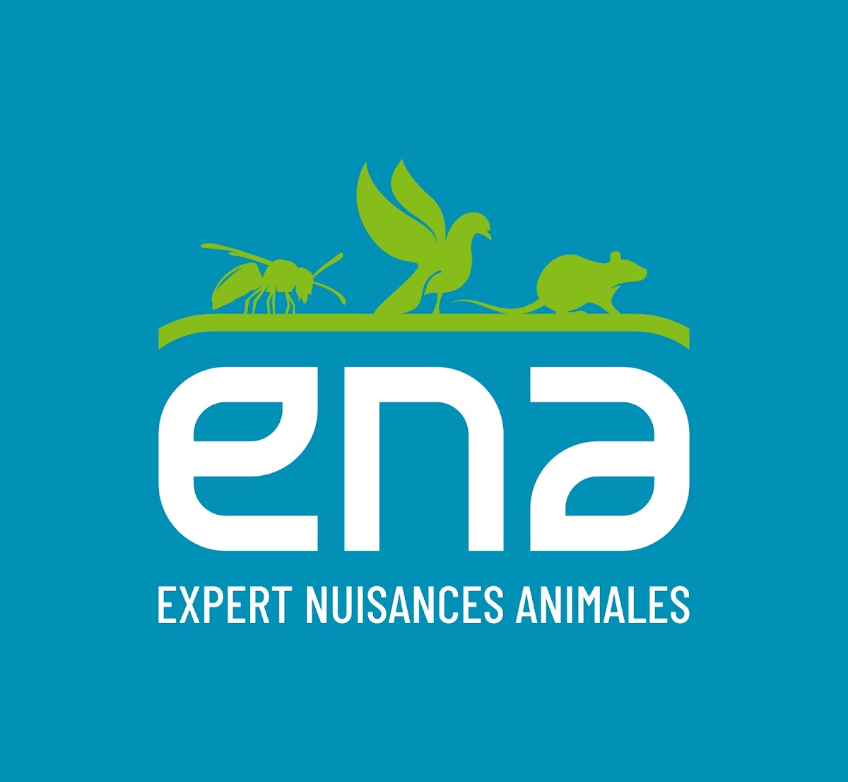 ENA - Expert en Nuisances Animales