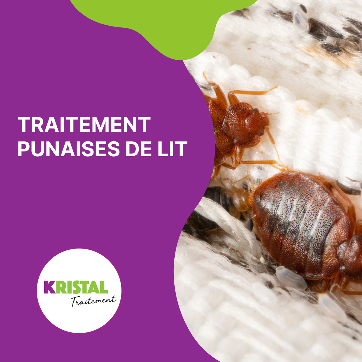 Kristal Traitement