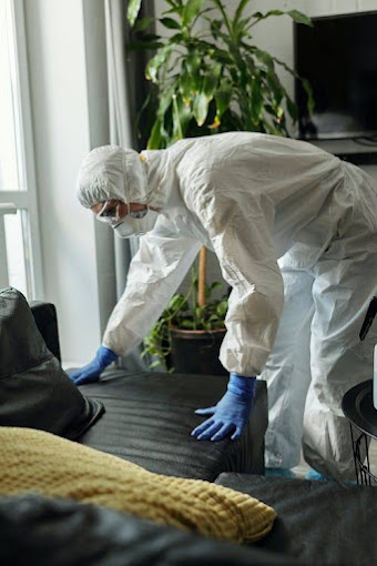 Générale d'Hygiène Dératisation Désinfection Désinsectisation