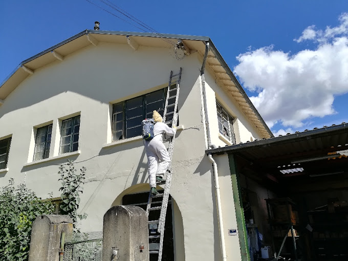 AJP GROUPE - Dératisation - Désinfection - Désinsectisation : Frelons, Guêpes, Punaises de lit..