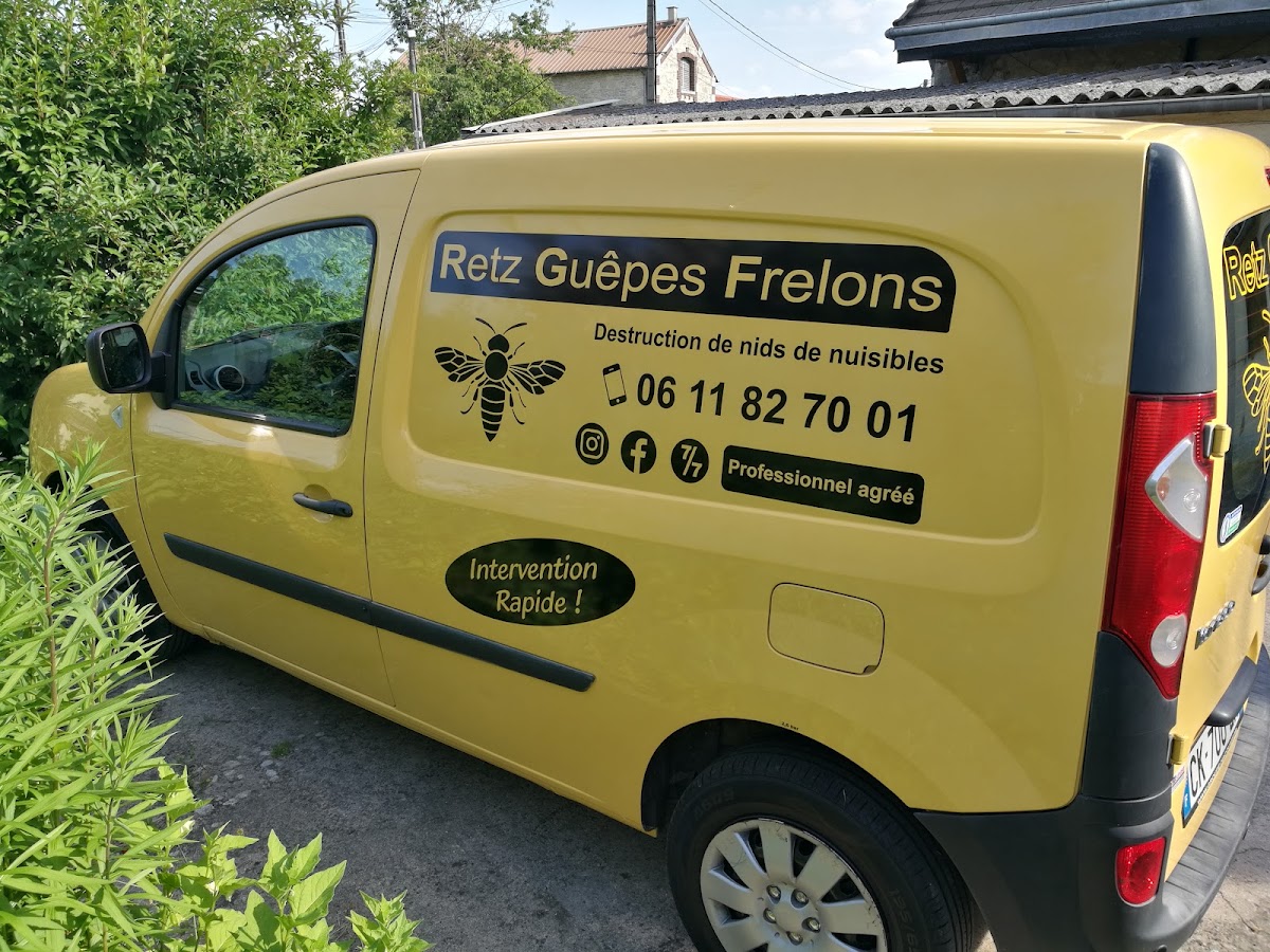 Retz Guêpes Frelons
