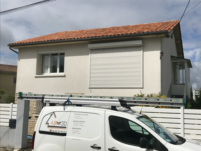 AB3D Traitement des Termites et capricornes - Dératisation, désinsectisation à Périgueux (24)